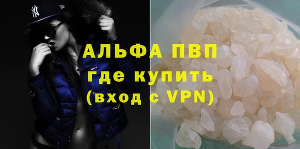 гашик Гусев