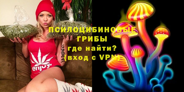 apvp Дмитриев
