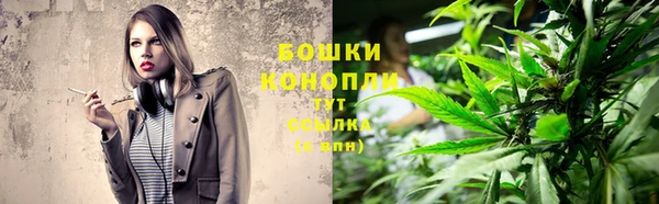 гашик Гусев