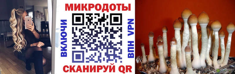 Псилоцибиновые грибы GOLDEN TEACHER  наркота  гидра вход  Добрянка 